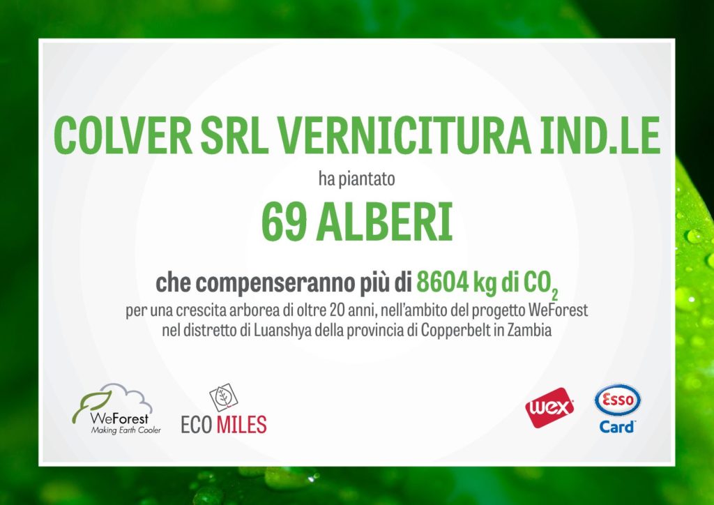 69 alberi colver